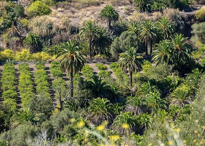 Monte Golf بلايا ديل إنغلز