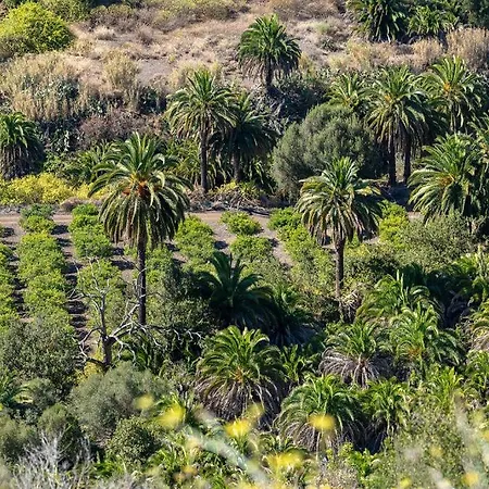 Monte Golf Playa del Ingles (Gran Canaria)
