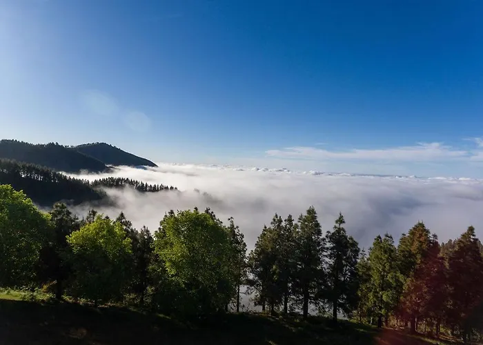 Monte Golf Nyaraló *